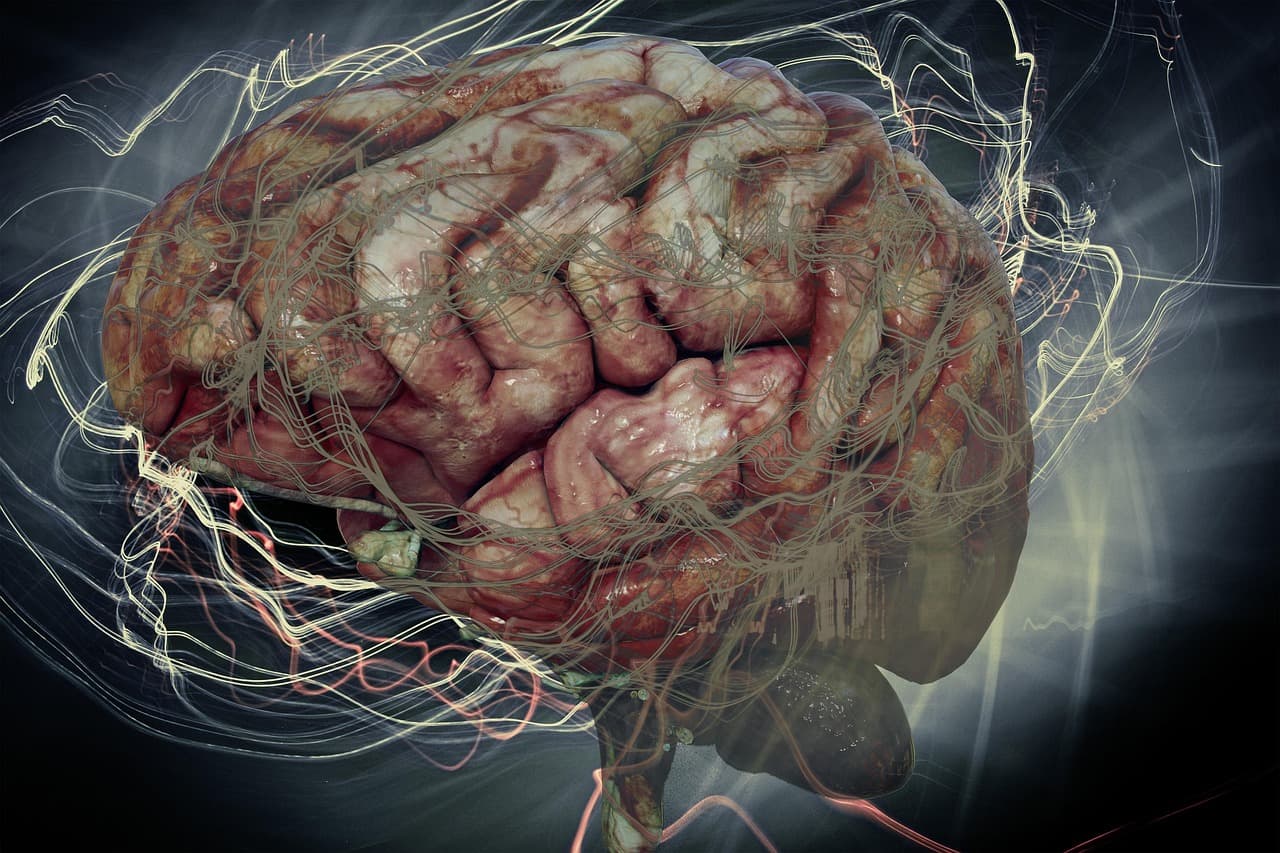Neurology