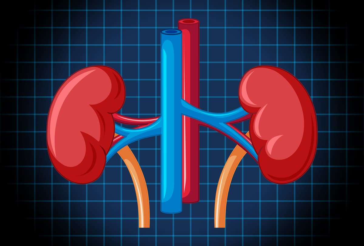 Nephrology & Urology Department